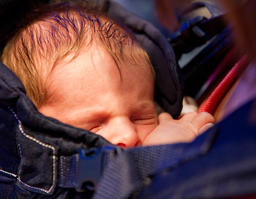 Aquarium-October-2010-6598-01