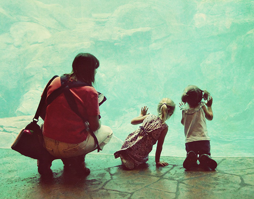 Aquarium-October-2010-6610-01