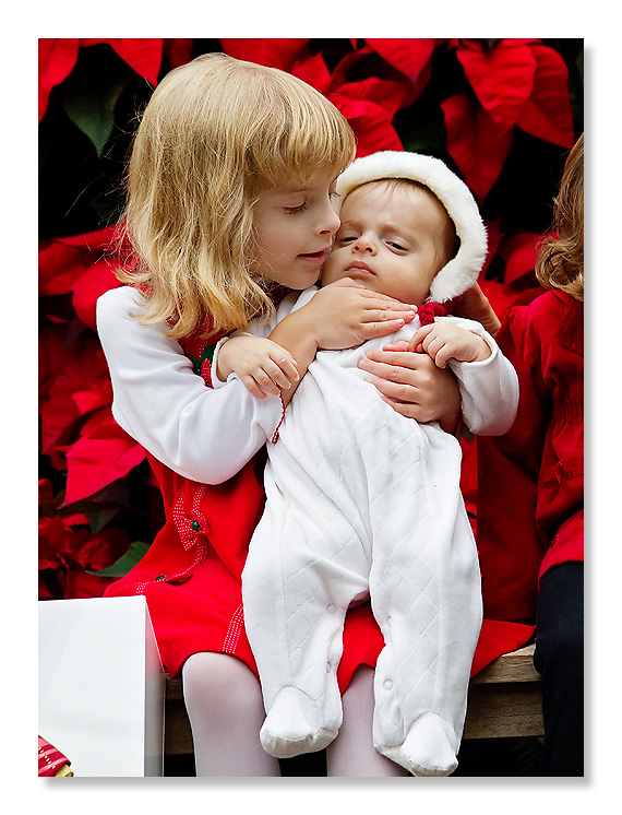 Christmas-card-5-7965a-web