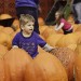 Pumpkin Patch-2012 (12 of 24)web thumbnail
