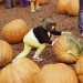 Pumpkin Patch-2012 (14 of 24)web thumbnail