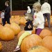 Pumpkin Patch-2012 (15 of 24)web thumbnail
