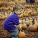 Pumpkin Patch-2012 (18 of 24)web thumbnail