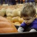 Pumpkin Patch-2012 (22 of 24)web thumbnail