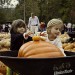 Pumpkin Patch-2012 (24 of 24)web thumbnail