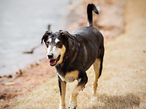 St-Pats-Day-2013 (28 of 29)