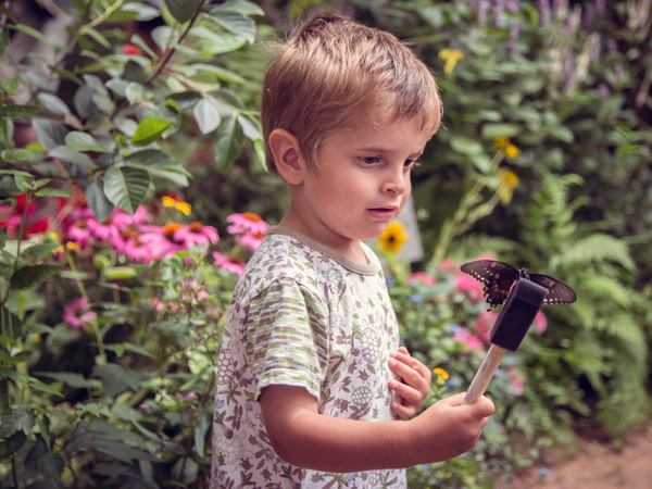 Butterfly Festival-104